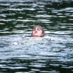 aquatics-instruction-25
